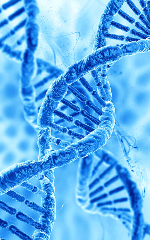 Anhua Bio lansează produsul PDRN: Reconstruirea lanțului global de aprovizionare a materiilor prime pentru regenerarea țesuturilor cu biologie sintetică